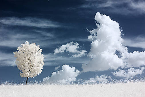 Fotografie - Solitér IR - 17677620_
