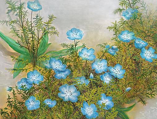 Obrazy - NEMOPHILA - 17676643_