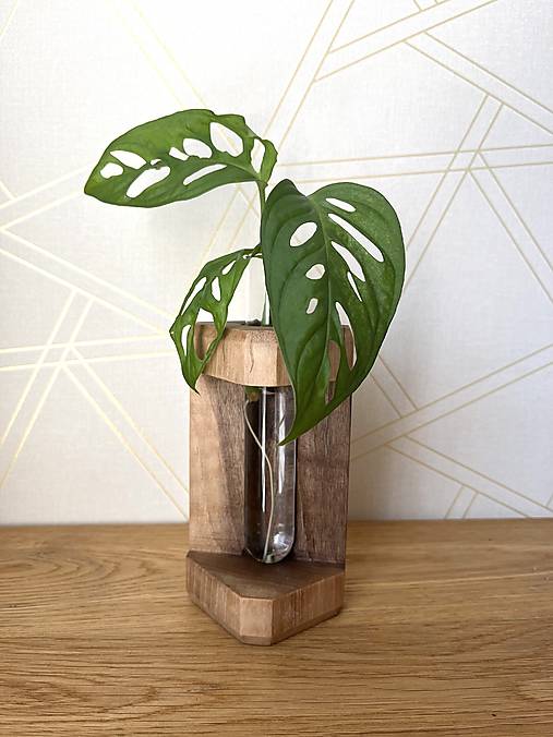 Nábytok - Zakoreňovač z orechového dreva - 17680461_