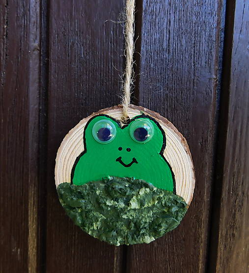 Dekorácie - drevený žabiak v machu závesná dekorácia - totálny výpredaj! - 17693165_