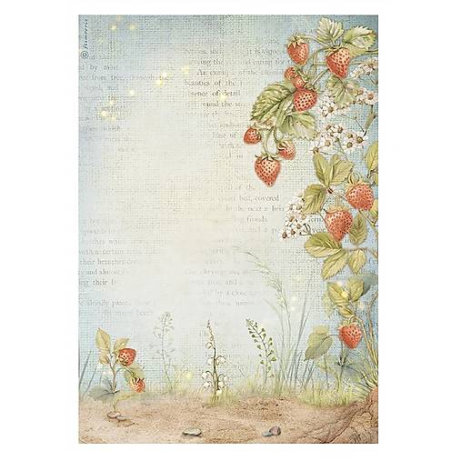 Papier - Ryžový papier Stamperia DFSA 41014 - 17699423_