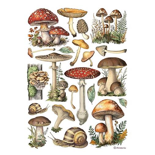 Papier - Ryžový papier Stamperia DFSA 41000 - 17699457_