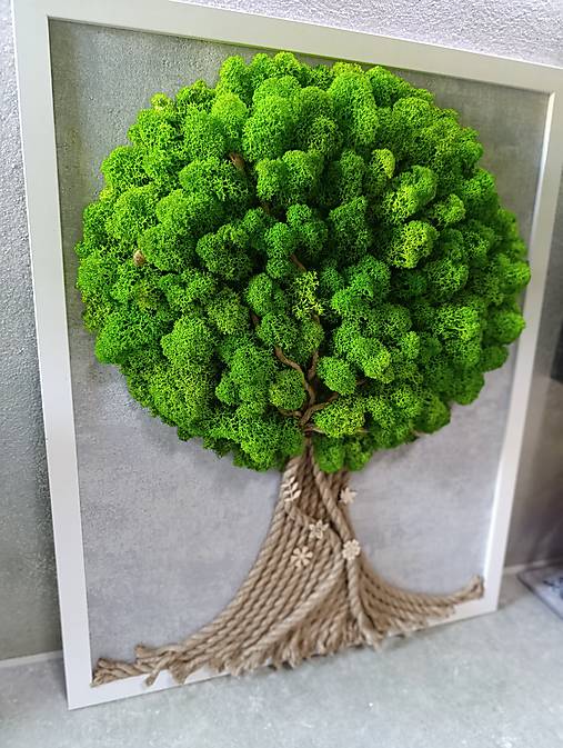 Obrazy - Machove stabilizovane stromceky - 17707044_