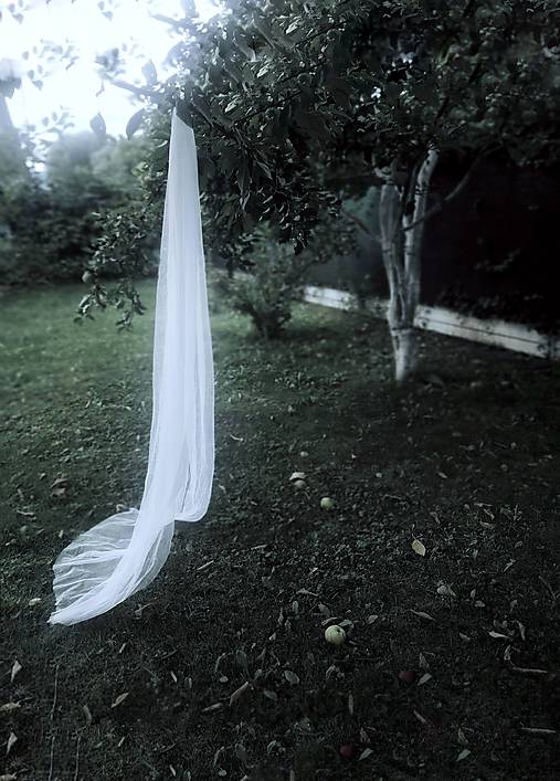 Ozdoby do vlasov - Závoj - 17710652_