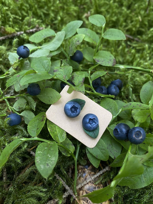 Náušnice - Blueberry - 17711637_