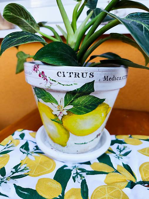 Nádoby - Kvetináč "Citróny" Ø 14,5 cm - 17716779_