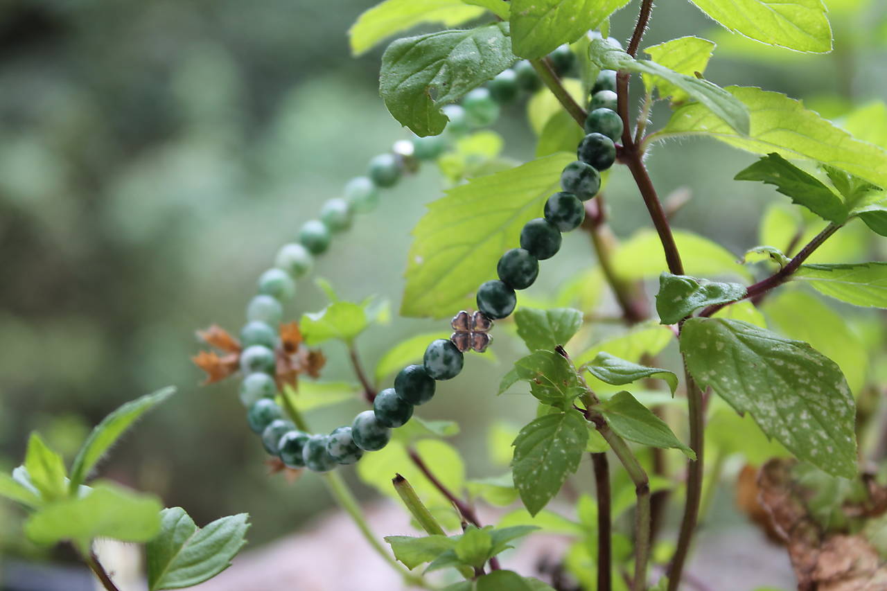 Štvorlístok zo Striebra +Jaspis