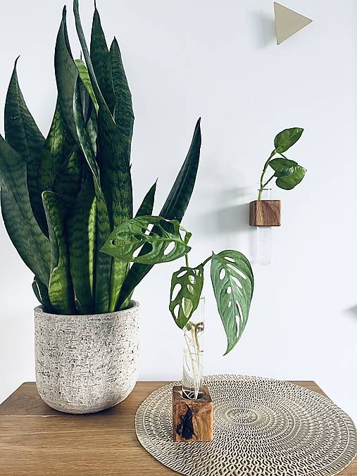 Dekorácie - Dubový zakoreňovač so skúmavkou – set 2 ks (stolný + nástenný) - 17715800_