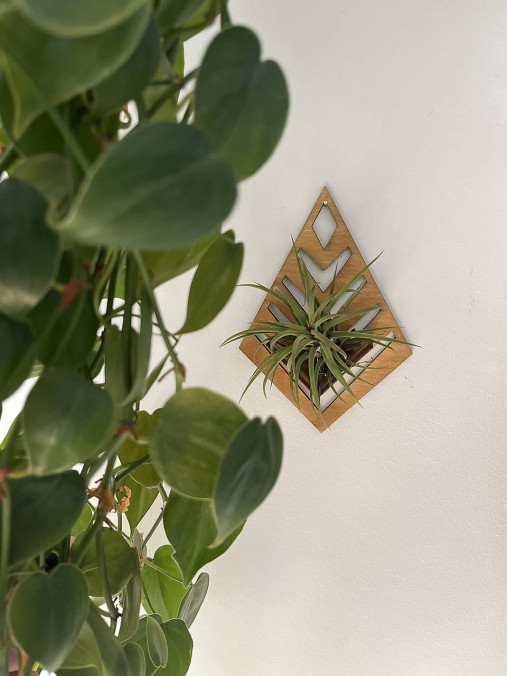 Dekorácie - Držiak na tilandsiu (Svetlohnedý) - 17716334_