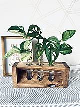  - Zakoreňovač z orechového dreva s 3 skúmavkami - 17723156_