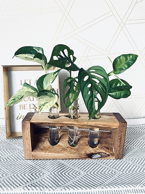 Dekorácie - Zakoreňovač z orechového dreva s 3 skúmavkami - 17723156_