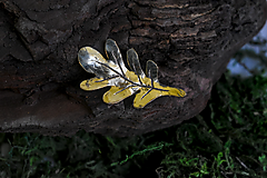 Brošne - Brošňa Dubový list - 17727635_