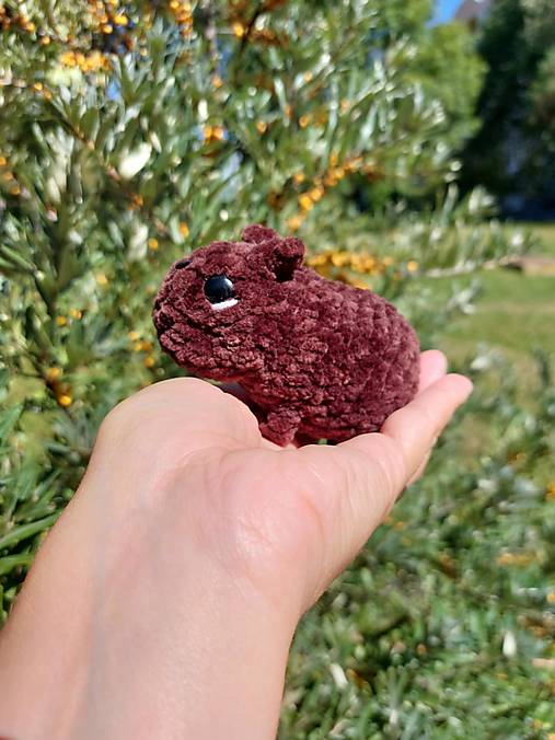 Kapybara