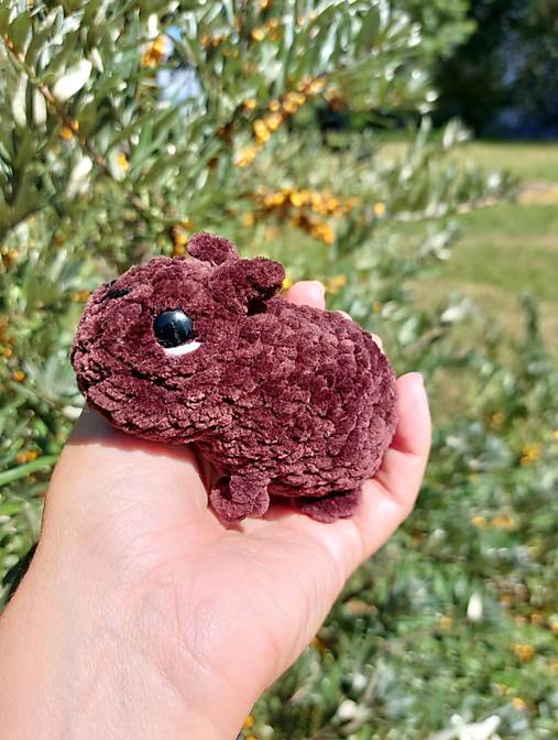 Kapybara