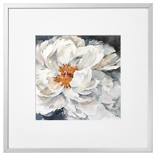 Obrazy - Originálna akvarelová maľba "White Peon" - 17734071_