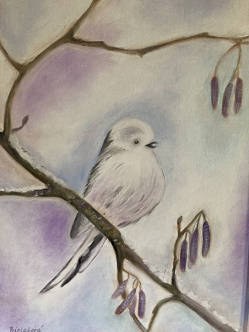 Obrazy - Zimné vtáča - 17737757_