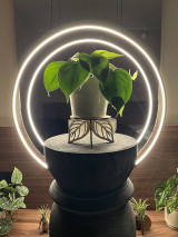 Dekorácie - Dekoratívny stojan pod kvetináč - 17741449_