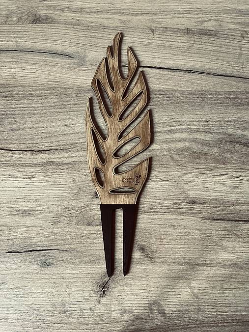 Dekorácie - Dizajnová opora na rastliny (Monstera) - 17742786_