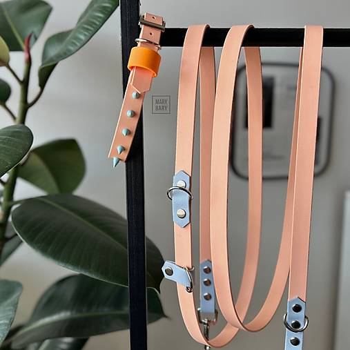 Pre zvieratá - Vodeodolný obojok a prepínacie vodítko pre psa BioThane CUTE ROCKER / broskyňovo-modrý - 17745930_