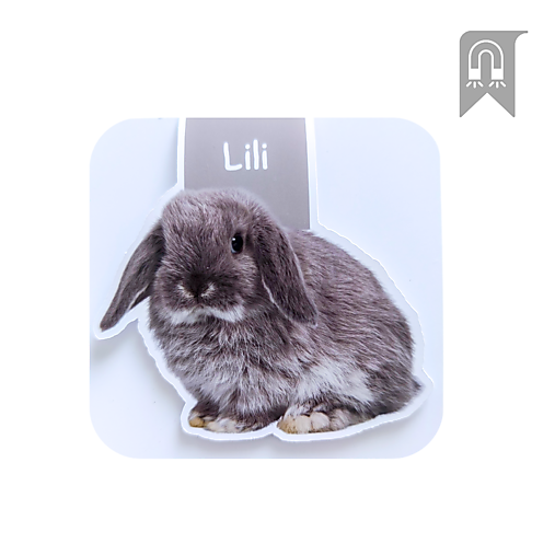 Papiernictvo - Magnetická záložka – zvieratko z fotografie - 17745984_