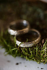 Prstene - Obrúčky HNIEZDO - 17746622_