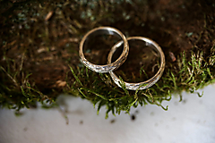 Prstene - Obrúčky HNIEZDO - 17746623_
