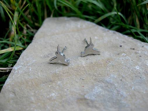 Napichovacie náušnice mini kolibrík - nerez, 1 pár ( farba platina)