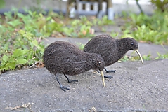 Dekorácie - Kiwi hnedý - 17760383_