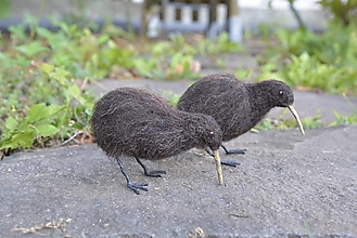 Dekorácie - Kiwi hnedý, skladom - 17760383_