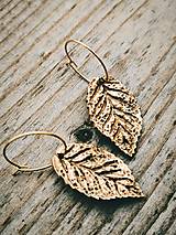 Náušnice - Kruhové náušnice s listami  - 17767209_