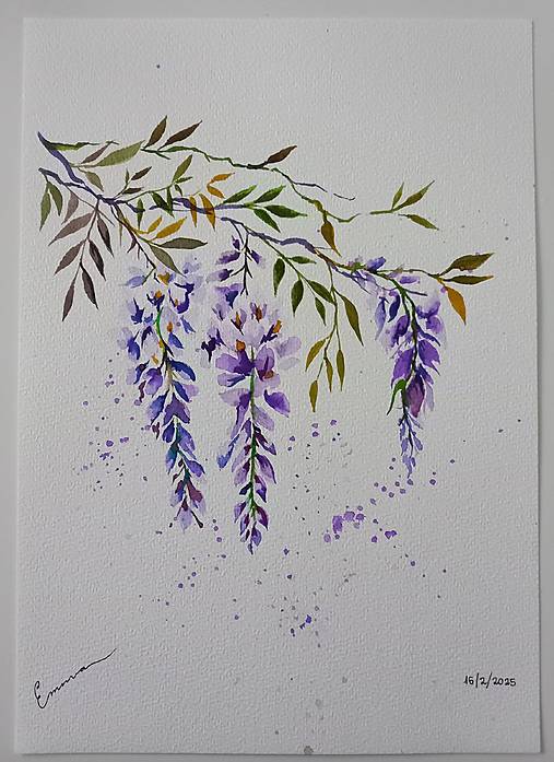 Kresby - Vistérie  - 17769830_