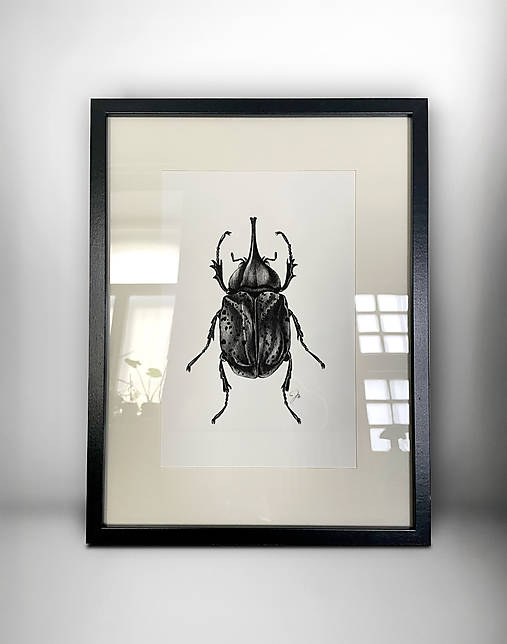 Grafika - Obraz Chrobák Nosorožtek (Print) - 17769486_