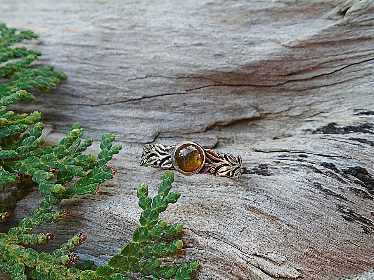 Strieborny prsteň Ag 925 Vavrínové listky Dravit