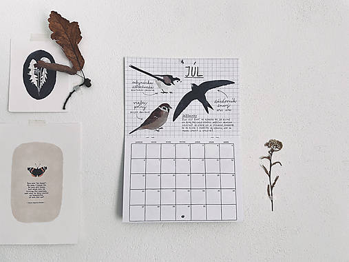 nástenný kalendár 2026 // VTÁKY