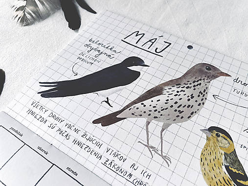 nástenný kalendár 2026 // VTÁKY