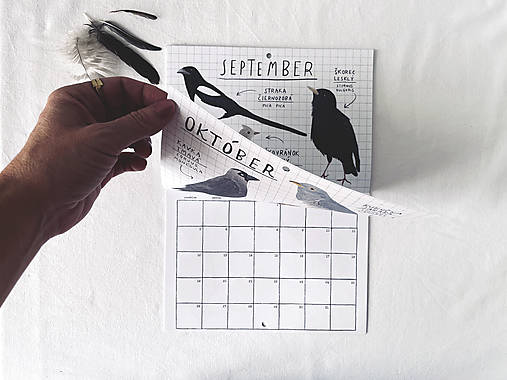 nástenný kalendár 2026 // VTÁKY