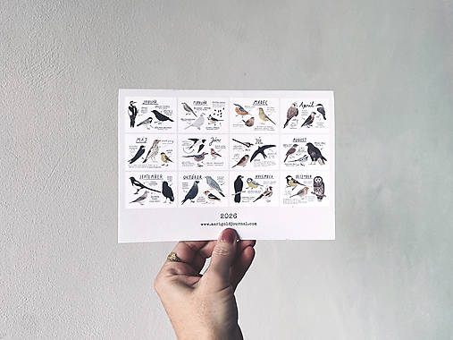 nástenný kalendár 2026 // VTÁKY