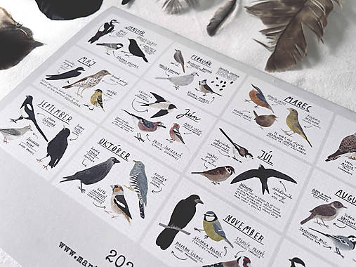 nástenný kalendár 2026 // VTÁKY