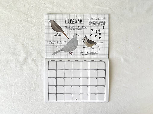 nástenný kalendár 2026 // VTÁKY