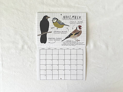 nástenný kalendár 2026 // VTÁKY