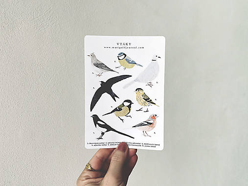 nálepky // vtáky