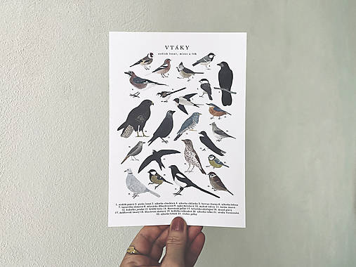 artprint // vtáky