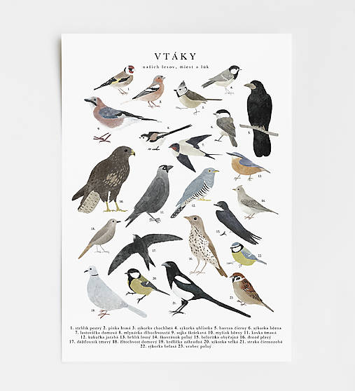 artprint // vtáky