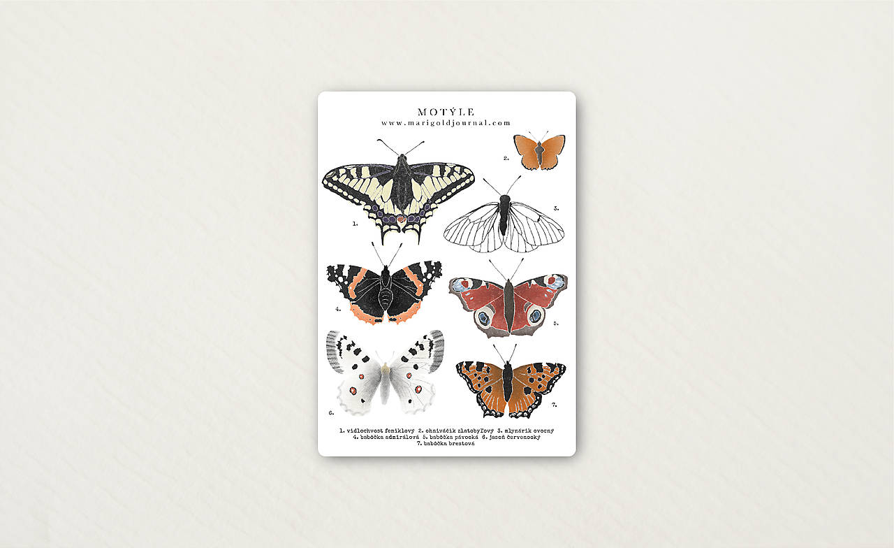 nálepky // motýle