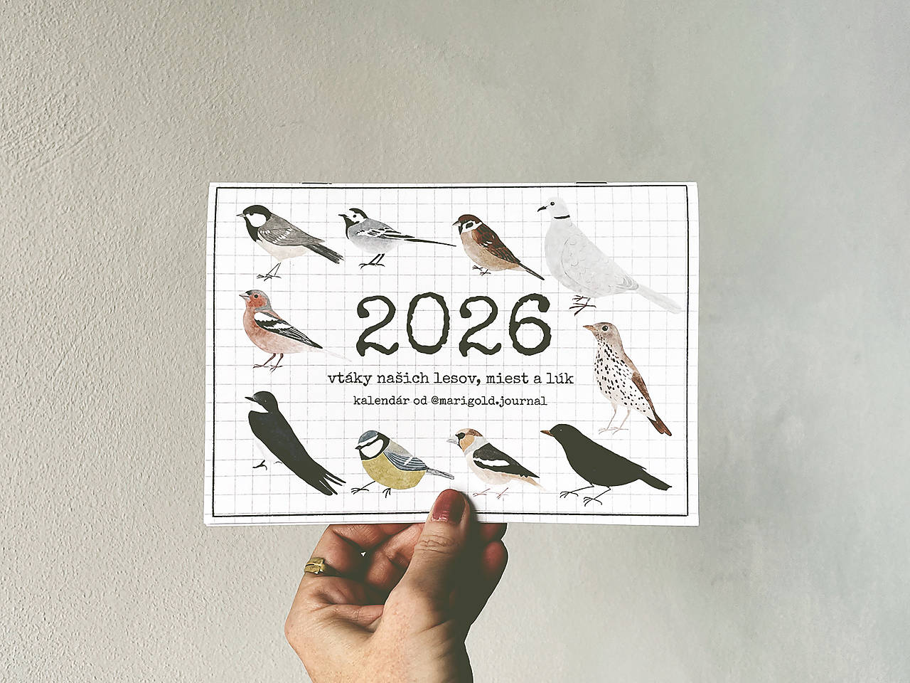 nástenný kalendár 2026 // VTÁKY