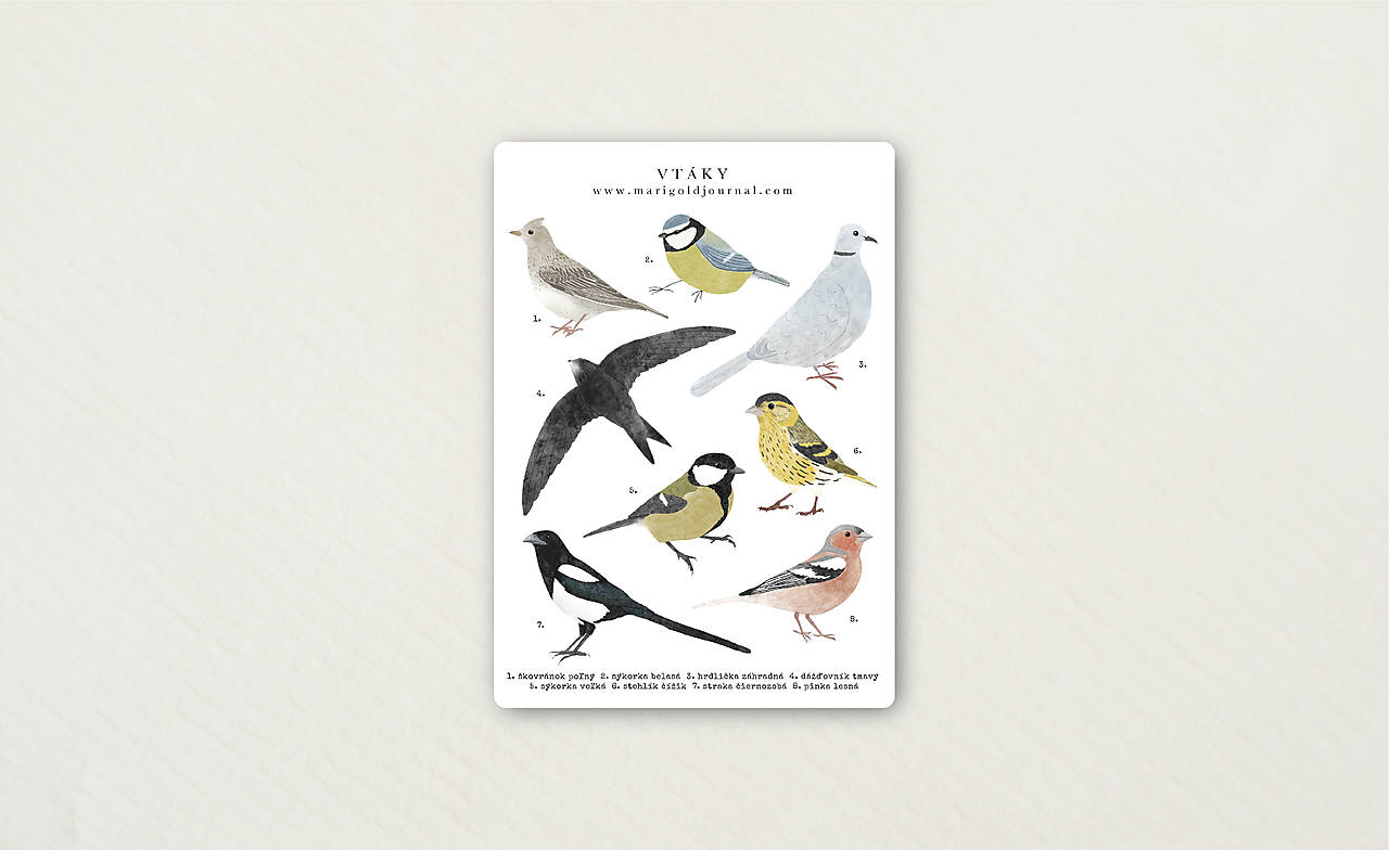 nálepky // vtáky