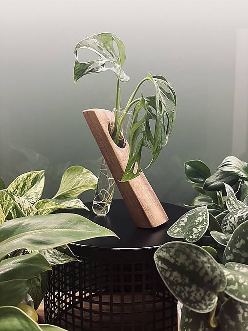 Dekorácie - Minimalistický zakoreňovač - orech - 17785806_