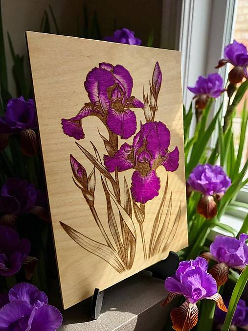 Obrazy - Kosatec Iris, Drevený vypaľovaný maľovaný obraz + stojan  - 17789320_