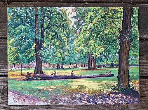 Obrazy - V Budatínskom parku , na padlom strome , sa zastavím.  - 17792895_