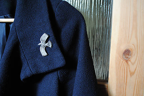 Strieborná brošňa Havran